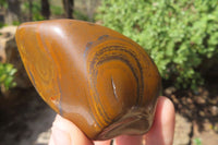 Polished Tiger's Eye Free Forms x 6 From Prieska, South Africa