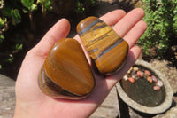 Polished Tiger's Eye Free Forms x 6 From Prieska, South Africa