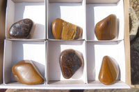 Polished Tiger's Eye Free Forms x 6 From Prieska, South Africa