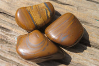 Polished Tiger's Eye Free Forms x 6 From Prieska, South Africa