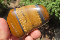 Polished Tiger's Eye Free Forms x 6 From Prieska, South Africa