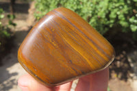 Polished Tiger's Eye Free Forms x 6 From Prieska, South Africa