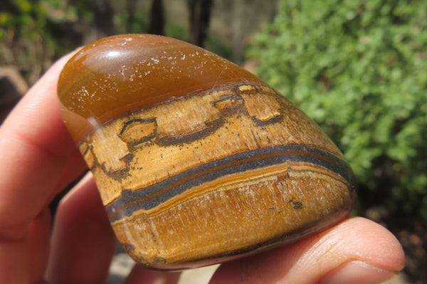 Polished Tiger's Eye Free Forms x 6 From Prieska, South Africa