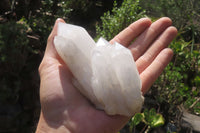 Natural Clear Quartz Crystal Clusters x 6 From Madagascar - Toprock Gemstones and Minerals 