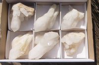 Natural Clear Quartz Crystal Clusters x 6 From Madagascar - Toprock Gemstones and Minerals 