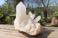 Natural Clear Quartz Crystal Clusters x 6 From Madagascar - Toprock Gemstones and Minerals 