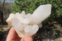 Natural Clear Quartz Crystal Clusters x 6 From Madagascar - Toprock Gemstones and Minerals 