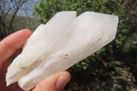 Natural Clear Quartz Crystal Clusters x 6 From Madagascar - Toprock Gemstones and Minerals 