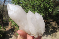 Natural Clear Quartz Crystal Clusters x 6 From Madagascar - Toprock Gemstones and Minerals 