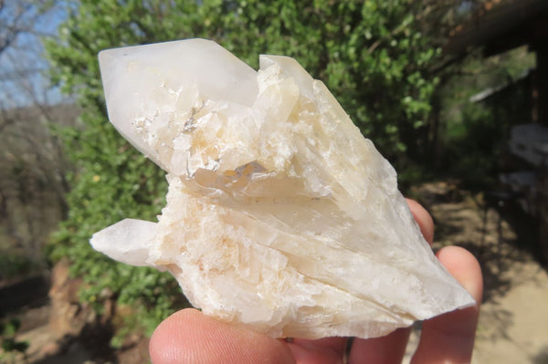 Natural Clear Quartz Crystal Clusters x 6 From Madagascar - Toprock Gemstones and Minerals 