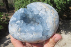 Polished Blue Celestite Egg Geodes x 2 From Madagascar - Toprock Gemstones and Minerals 