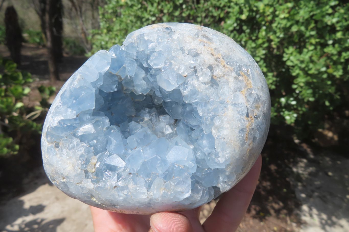 Polished Blue Celestite Egg Geodes x 2 From Madagascar - Toprock Gemstones and Minerals 