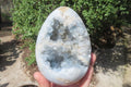 Polished Blue Celestite Egg Geodes x 2 From Madagascar - Toprock Gemstones and Minerals 