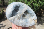 Polished Blue Celestite Egg Geodes x 2 From Madagascar - Toprock Gemstones and Minerals 
