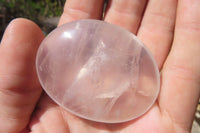 Polished Girasol Pearl Quartz Palm Stones x 24 From Ambatondrazaka, Madagascar - Toprock Gemstones and Minerals 