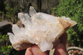 Natural Clear Quartz Crystal Clusters x 12 From Madagascar - Toprock Gemstones and Minerals 