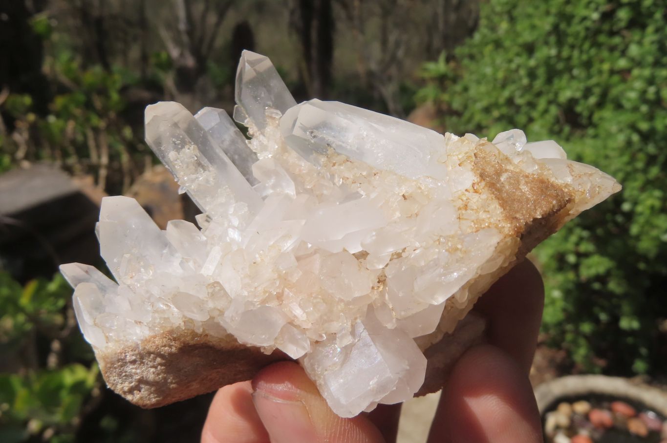 Natural Clear Quartz Crystal Clusters x 12 From Madagascar - Toprock Gemstones and Minerals 