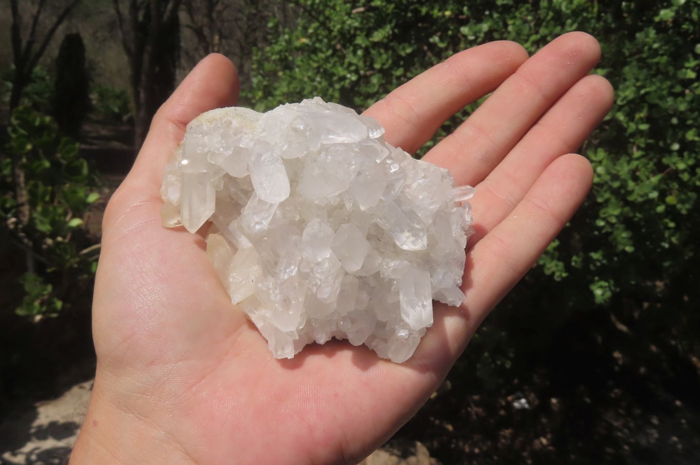 Natural Clear Quartz Crystal Clusters x 12 From Madagascar - Toprock Gemstones and Minerals 