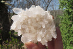 Natural Clear Quartz Crystal Clusters x 12 From Madagascar - Toprock Gemstones and Minerals 