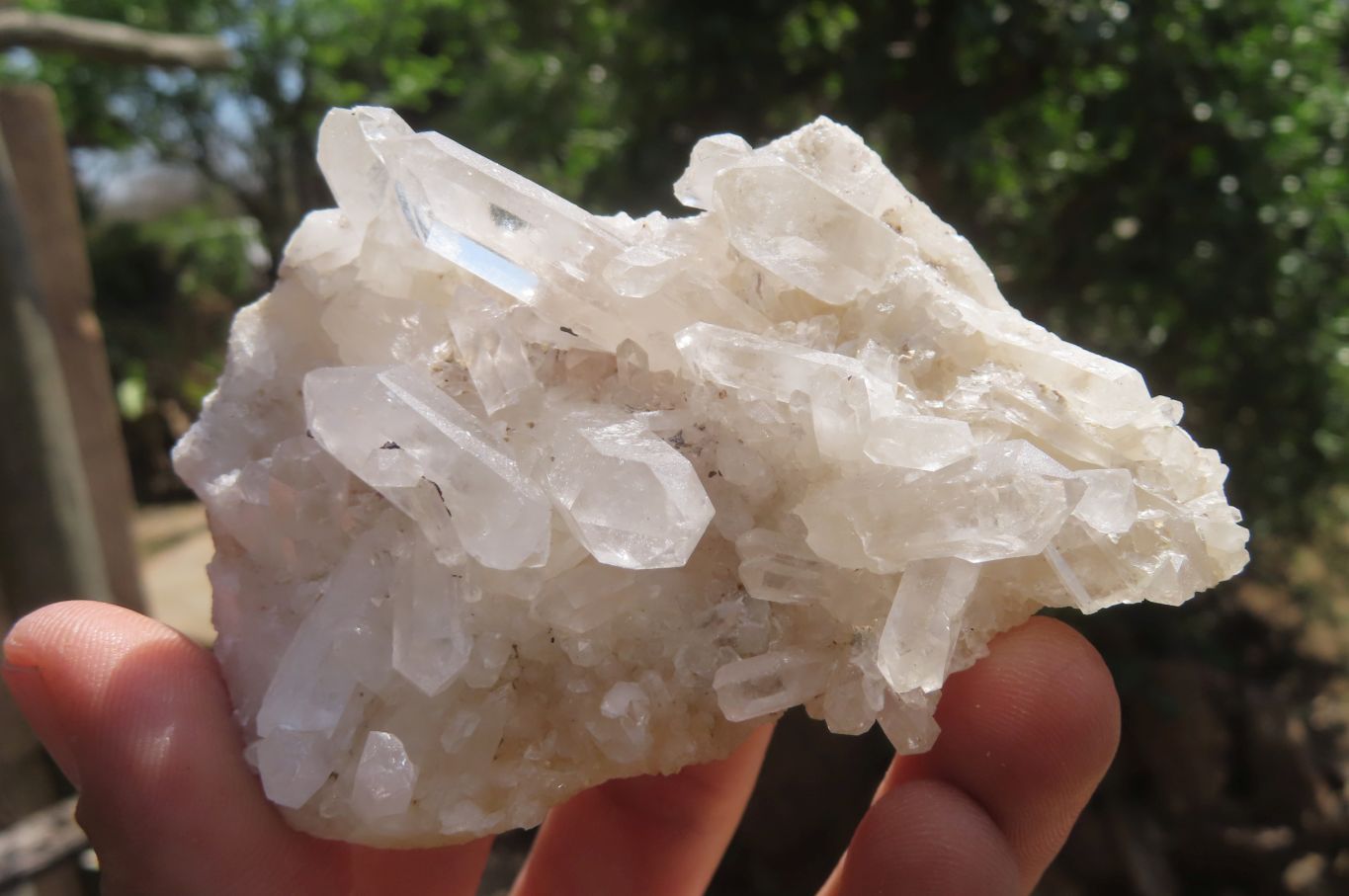 Natural Clear Quartz Crystal Clusters x 12 From Madagascar - Toprock Gemstones and Minerals 