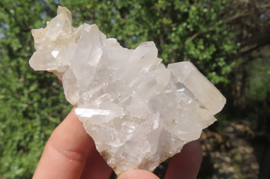 Natural Clear Quartz Crystal Clusters x 12 From Madagascar - Toprock Gemstones and Minerals 