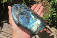 Polished Labradorite Standing Free Forms x 2 From Tulear, Madagascar - Toprock Gemstones and Minerals 