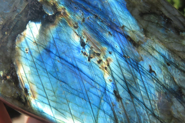 Polished Labradorite Standing Free Forms x 2 From Tulear, Madagascar - Toprock Gemstones and Minerals 