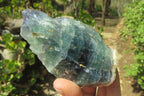 Natural Watermelon Fluorite Cobbed Specimens x 12 From Uis, Namibia - Toprock Gemstones and Minerals 