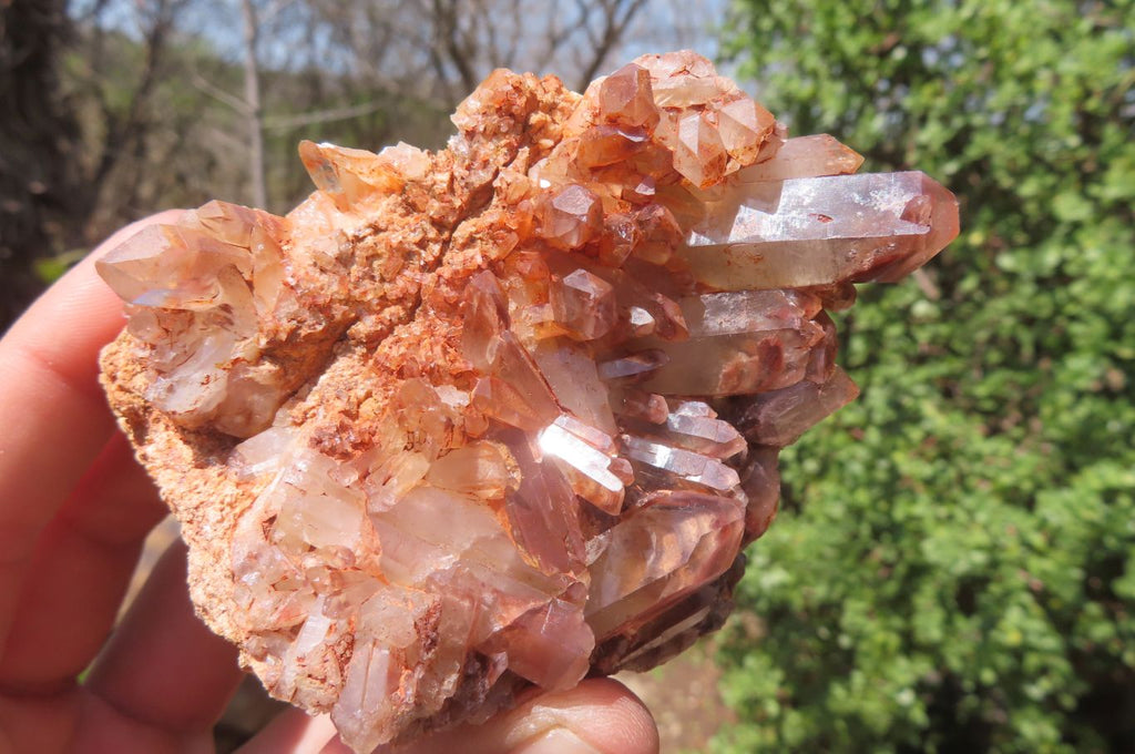 Natural Red Hematoid Quartz Clusters x 6 From Karoi, Zimbabwe - Toprock Gemstones and Minerals 