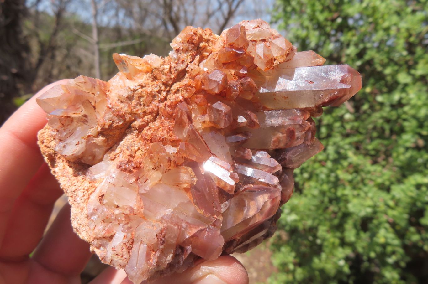 Natural Red Hematoid Quartz Clusters x 6 From Karoi, Zimbabwe - Toprock Gemstones and Minerals 