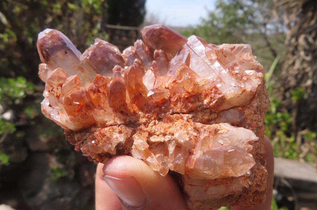 Natural Red Hematoid Quartz Clusters x 6 From Karoi, Zimbabwe - Toprock Gemstones and Minerals 