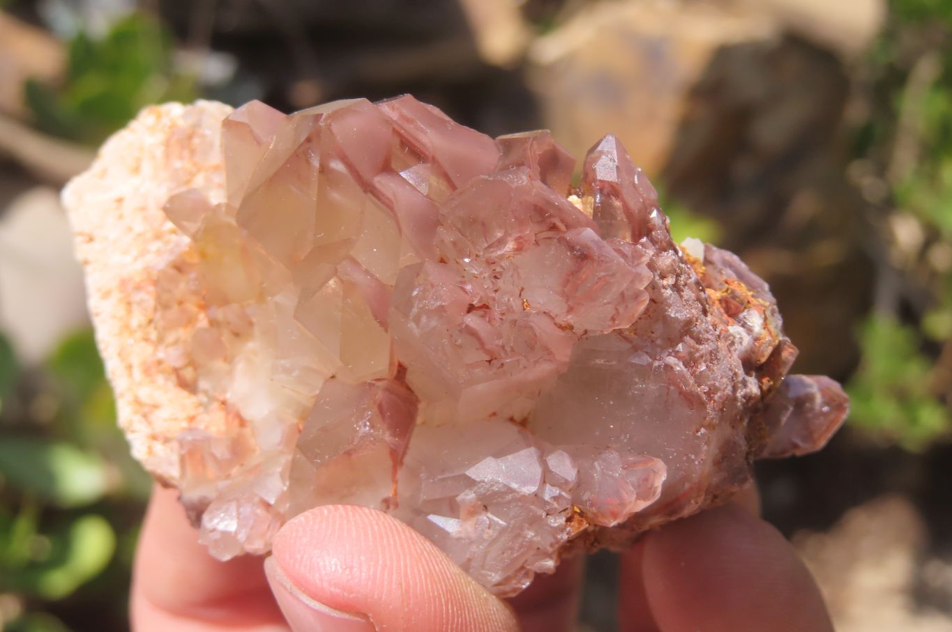 Natural Red Hematoid Quartz Clusters x 6 From Karoi, Zimbabwe - Toprock Gemstones and Minerals 