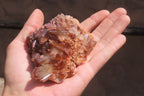 Natural Red Hematoid Quartz Clusters x 6 From Karoi, Zimbabwe - Toprock Gemstones and Minerals 
