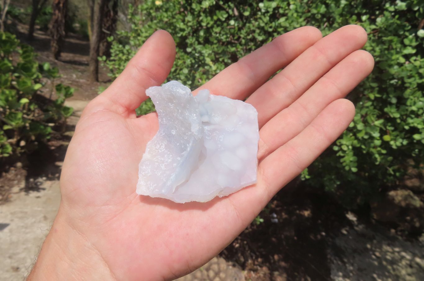 Natural Etched Blue Chalcedony Specimens x 12 From Nsanje, Malawi - Toprock Gemstones and Minerals 