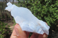 Natural Etched Blue Chalcedony Specimens x 12 From Nsanje, Malawi - Toprock Gemstones and Minerals 