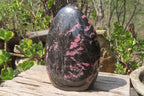 Polished Rhodonite Display Piece x 1 From Madagascar - Toprock Gemstones and Minerals 