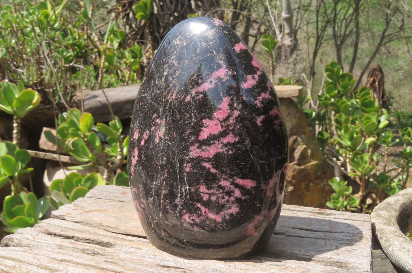 Polished Rhodonite Display Piece x 1 From Madagascar - Toprock Gemstones and Minerals 