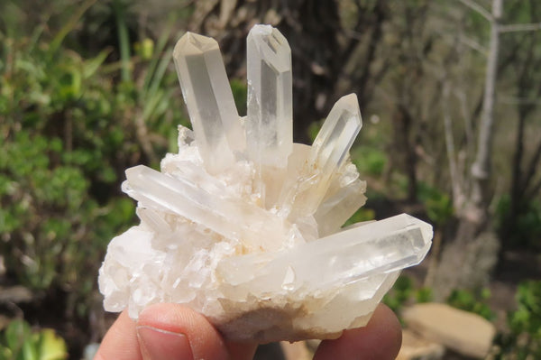Natural Clear Quartz Crystal Clusters x 7 From Madagascar - Toprock Gemstones and Minerals 