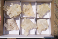 Natural Clear Quartz Crystal Clusters x 7 From Madagascar - Toprock Gemstones and Minerals 