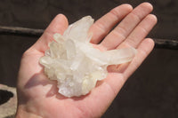 Natural Clear Quartz Crystal Clusters x 7 From Madagascar - Toprock Gemstones and Minerals 