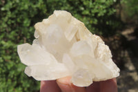 Natural Clear Quartz Crystal Clusters x 7 From Madagascar - Toprock Gemstones and Minerals 