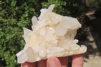 Natural Clear Quartz Crystal Clusters x 7 From Madagascar - Toprock Gemstones and Minerals 