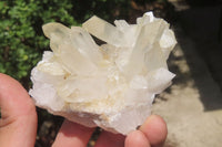 Natural Clear Quartz Crystal Clusters x 7 From Madagascar - Toprock Gemstones and Minerals 
