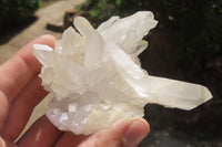 Natural Clear Quartz Crystal Clusters x 7 From Madagascar - Toprock Gemstones and Minerals 