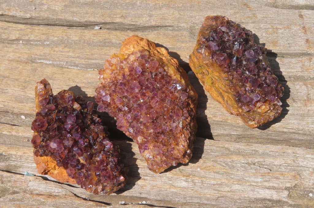 Natural Amethystos Amethyst Plates x 12 From Kwaggafontein, South Africa - Toprock Gemstones and Minerals 