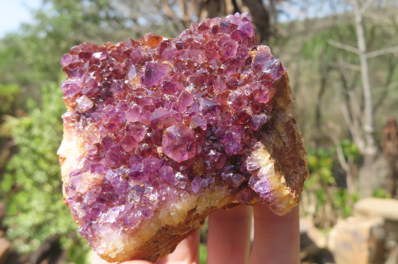 Natural Amethystos Amethyst Plates x 12 From Kwaggafontein, South Africa - Toprock Gemstones and Minerals 