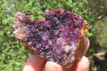 Natural Amethystos Amethyst Plates x 12 From Kwaggafontein, South Africa - Toprock Gemstones and Minerals 