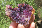 Natural Amethystos Amethyst Plates x 12 From Kwaggafontein, South Africa - Toprock Gemstones and Minerals 