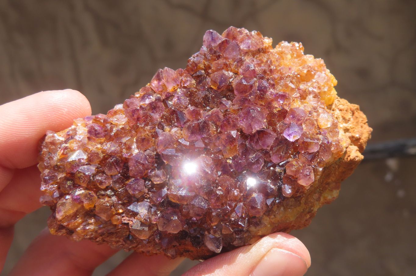Natural Amethystos Amethyst Plates x 12 From Kwaggafontein, South Africa - Toprock Gemstones and Minerals 