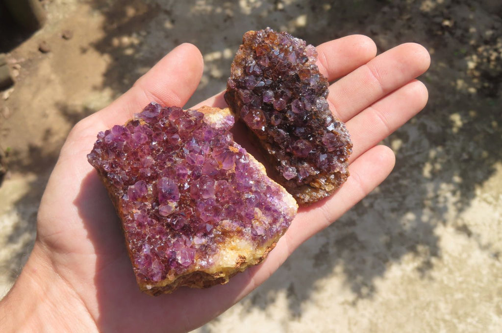 Natural Amethystos Amethyst Plates x 12 From Kwaggafontein, South Africa - Toprock Gemstones and Minerals 
